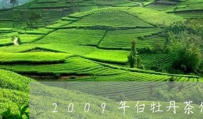 2009年白牡丹茶什么价格/2023052674937