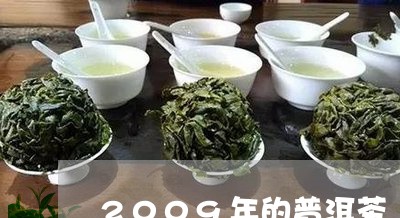 2009年的普洱茶/2023071181524