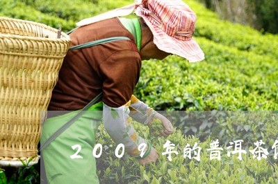 2009年的普洱茶饼/2023080222735