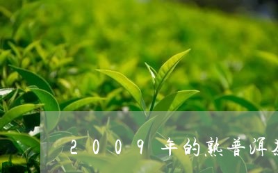 2009年的熟普洱茶/2023080300481