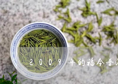 2009年的福今普洱茶/2023081468171