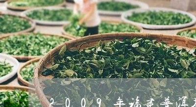 2009年福建普洱茶/2023120678249