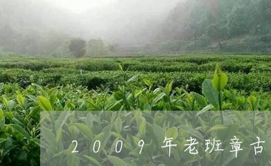 2009年老班章古树茶价格/2023052702837