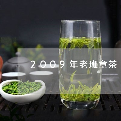 2009年老班章茶/2023042888403