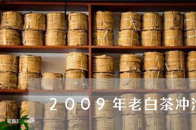 2009年老白茶冲泡方法/2023073047260