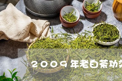 2009年老白茶功效/2023092796371