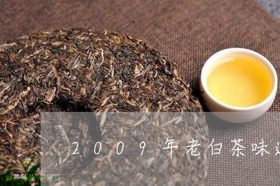 2009年老白茶味道/2023092708351