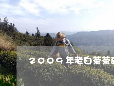 2009年老白茶茶砖/2023073120402