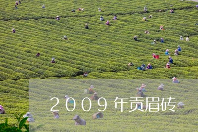 2009年贡眉砖/2023090939404