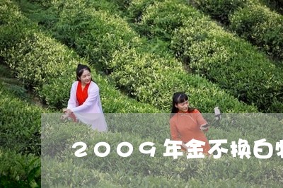 2009年金不换白牡丹/2023092327371