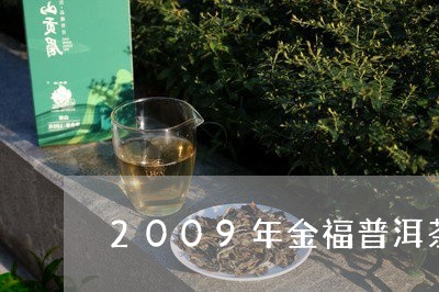 2009年金福普洱茶/2023100547260