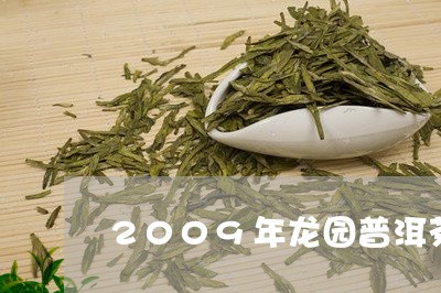 2009年龙园普洱茶/2023080260693