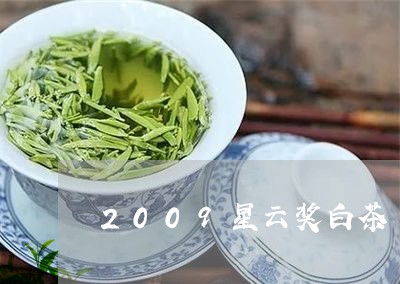 2009星云奖白茶/2023071309462