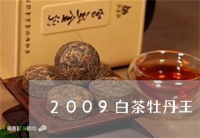 2009白茶牡丹王/2023071373935