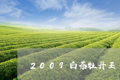 2009白茶牡丹王/2023121330581