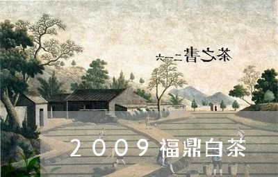 2009福鼎白茶/2023112678368