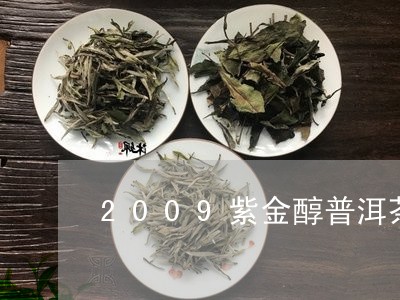 2009紫金醇普洱茶/2023062793805