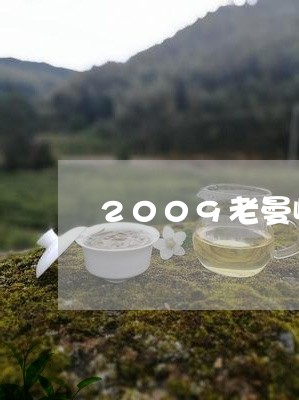 2009老曼峨班章/2023042551794