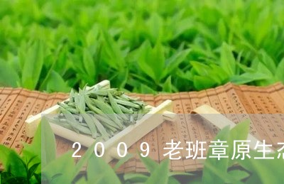 2009老班章原生态/2023061239694