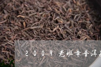 2009老班章普洱茶三爬/2023051394138