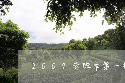 2009老班章第一村/2023092494148