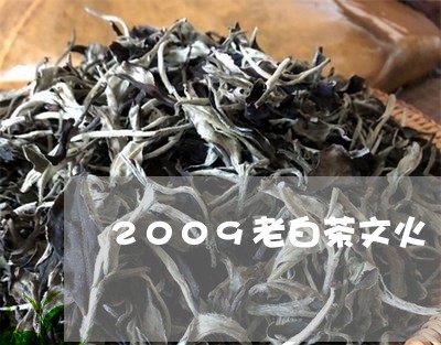 2009老白茶文火/2023121369703