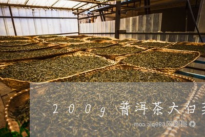 200g普洱茶大白菜/2023093011592