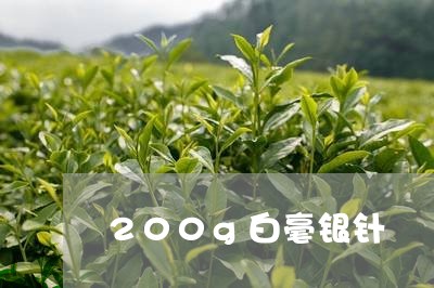 200g白毫银针/2023090741604