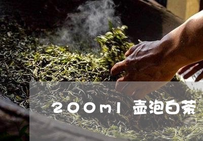 200ml壶泡白茶/2023071306270