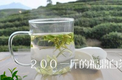 200一斤的福鼎白茶/2023091569726