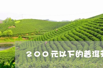 200元以下的普洱茶能喝吗/2023082862867