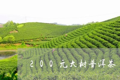 200元大树普洱茶/2023101670713