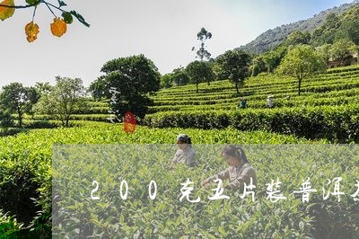 200克五片装普洱茶饼礼盒/2023052904938