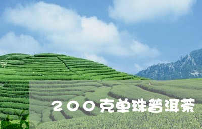 200克单珠普洱茶/2023120554948