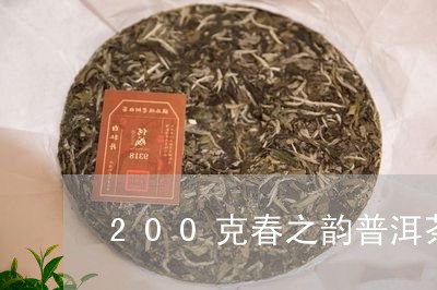 200克春之韵普洱茶/2023093059471