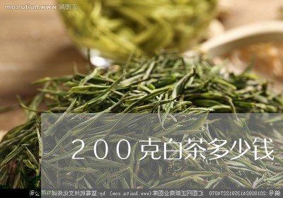 200克白茶多少钱/2023121357160