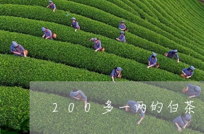 200多一两的白茶/2023071362505