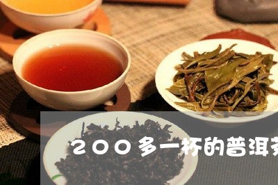 200多一杯的普洱茶/2023092903946