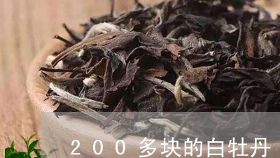 200多块的白牡丹/2023120505048