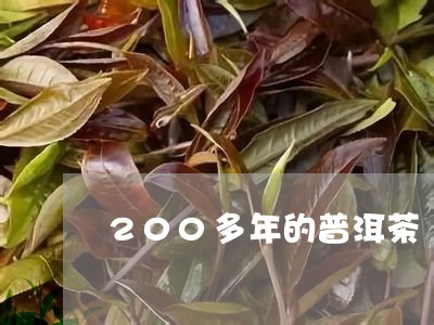 200多年的普洱茶/2023091448160