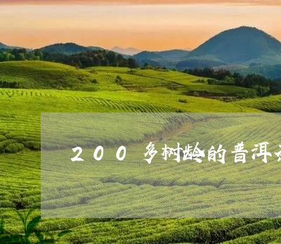 200多树龄的普洱茶/2023080190704