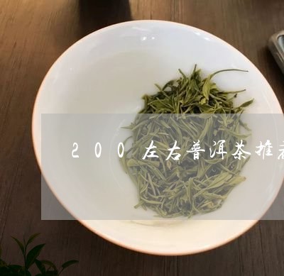 200左右普洱茶推荐/2023110378694