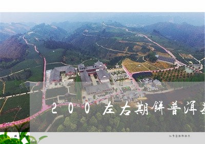 200左右期饼普洱茶/2023100604059