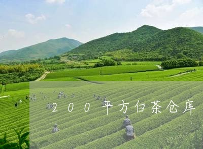 200平方白茶仓库/2023121342138