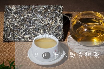 200年冰岛古树茶/2023042676371