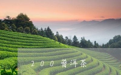 200普洱茶/2023042843823