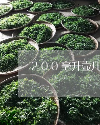 200毫升壶几克白茶/2023092794926