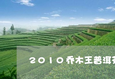 2010乔木王普洱茶生茶/2023102528470