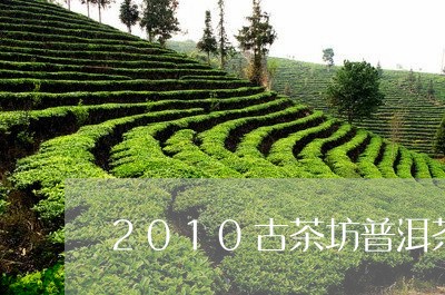 2010古茶坊普洱茶生茶/2023110293030