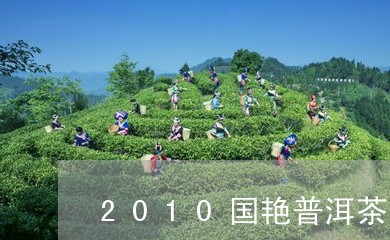 2010国艳普洱茶/2023091461482